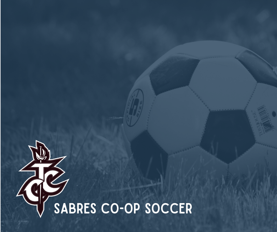 Soccer ball with Sabres team logo